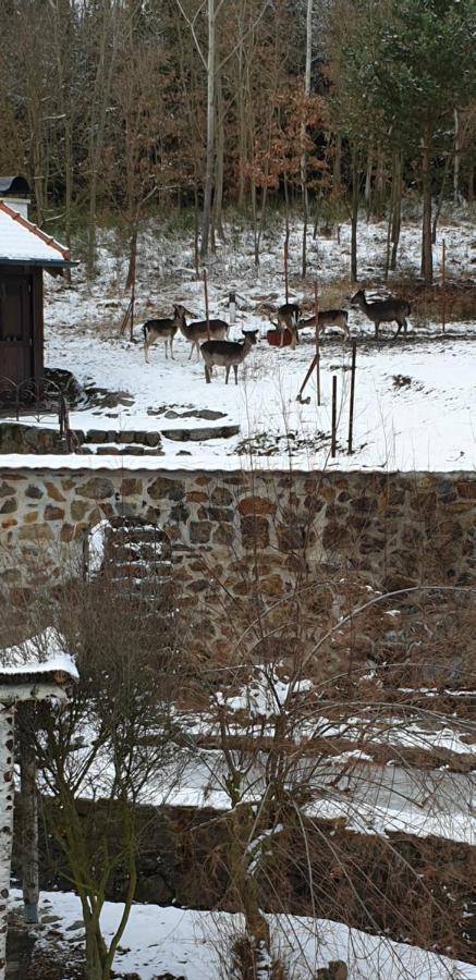 Hajovna Hnevnice Exterior foto